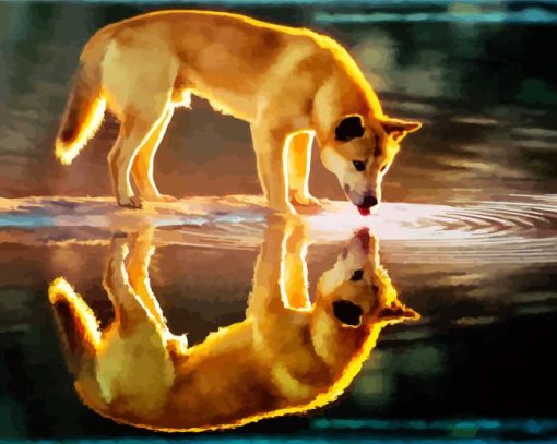 Dingo Reflection paint by numbers
