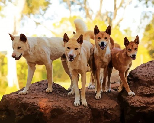 Dingo Dogs paint by numbers