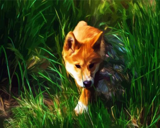 Dingo Wild Dog paint by numbers