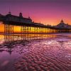 Eastbourne Pier Sunset paint by number
