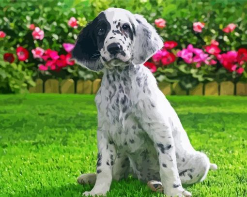 English Setter Dog paint by numbers