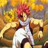 Fairy Tail Anime Natsu Dragneel paint by numbers