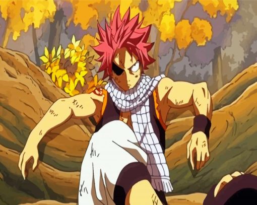 Fairy Tail Anime Natsu Dragneel paint by numbers