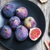 Figs Plate paint by numbers