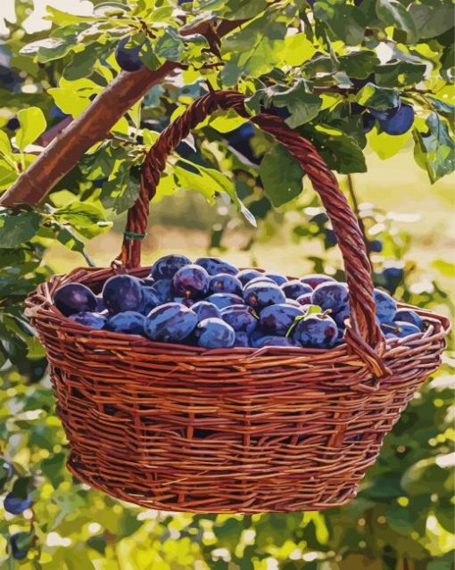 Fresh Plums Basket paint by number