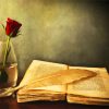 Glass Rose And Vintage Book paint by number