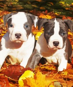 Gray American Sttaffordshire Terrier paint by numbers