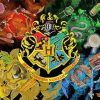 Harry Potter Hogwarts Houses paint by numbers