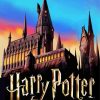Harry Potter Hogwarts School paint by numbers