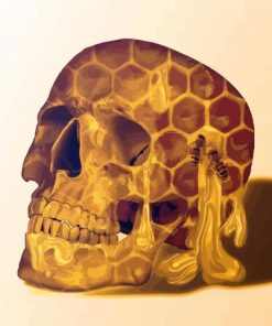 Honey Skull Head paint by number