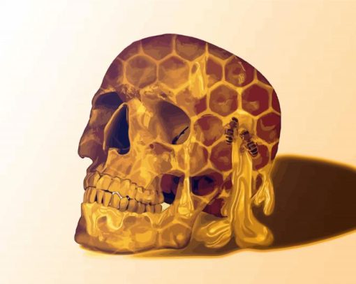 Honey Skull Head paint by number