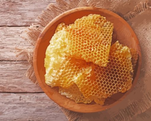 Honeycomb Bowl paint by number