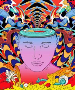 Illustration Psychedelic Mental Art paint by number