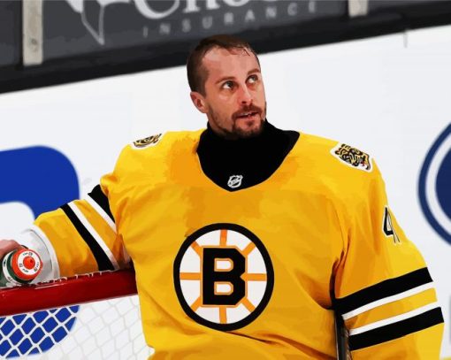 Jaroslav Halak Boston Bruins paint by numbers