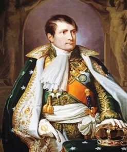 King Napoleon paint by number