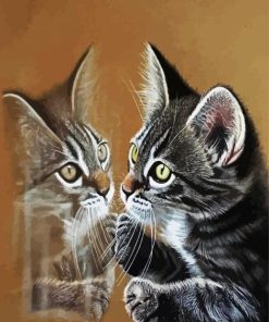 Kitten Reflection paint by numbers