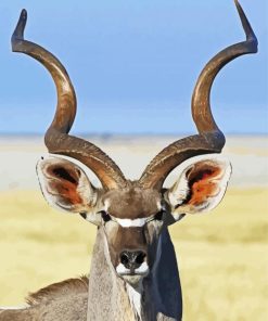 Kudu Animal Close Up paint by number