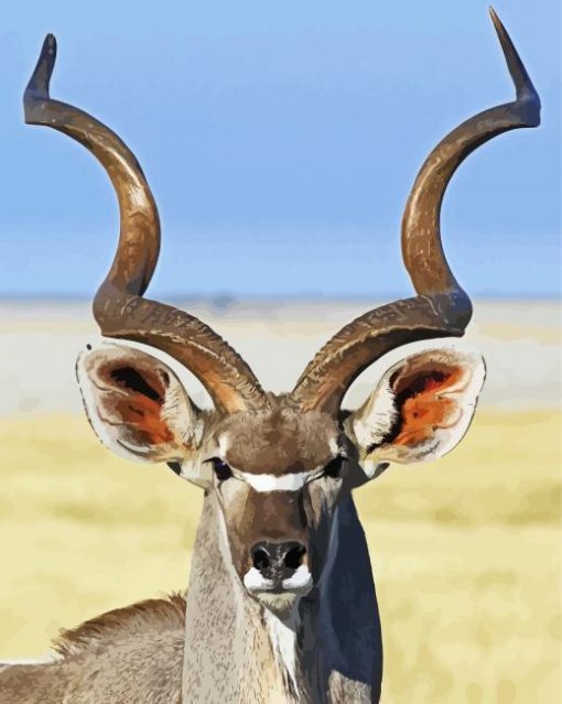 Kudu Animal Close Up paint by number