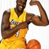 Lakers Shaquille paint by number