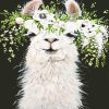 Llama With Flowers paint by numbers