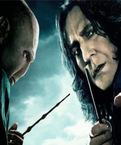Lord Voldemort And Professor Servus paint by numbers