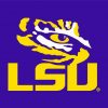 Lsu paint by number