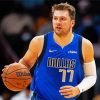 Luka Doncic player paint by numbers