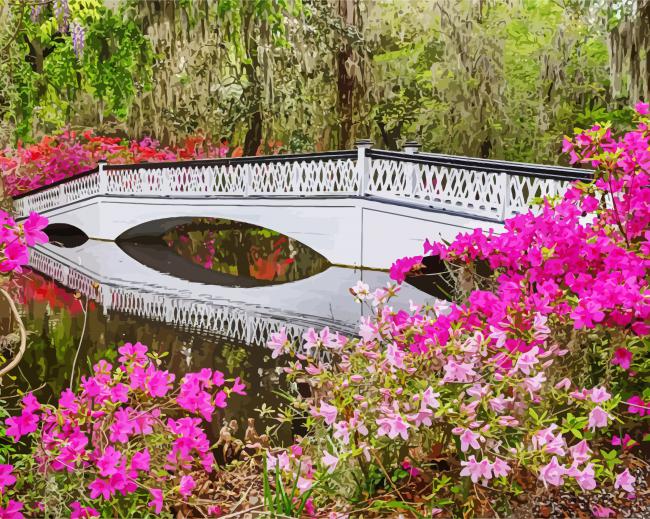Magnolia Plantation And Gardens Charleston paint by number