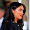 Meghan Duchess Of Sussex paint by numbers