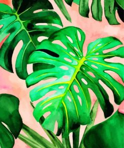 Monstera Plant Leaves paint by number