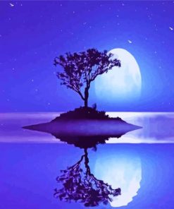 Moon Light Reflection paint by number