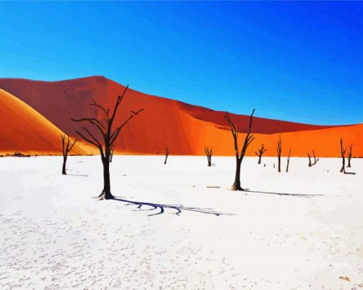 Nambia Desert paint by numbers