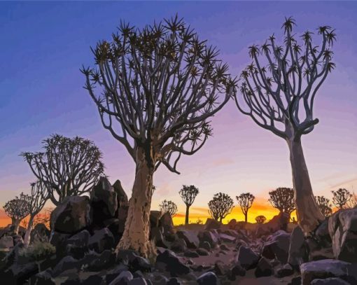Namibia Aloe Dichotoma Trees paint by number