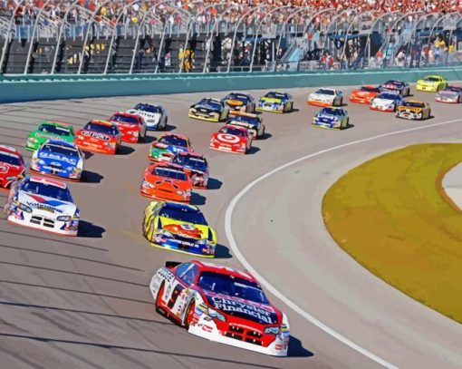 Nascar Cars Racing paint by numbers