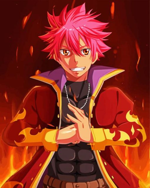 Natsu Fairy Tail Anime paint by numbers