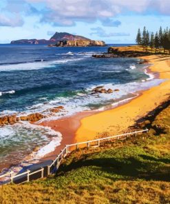 Norfolk Island paint by number