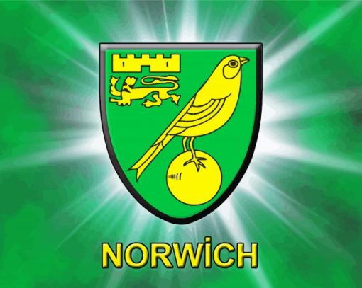 Norwich Logo paint by numbers