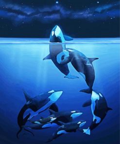 Orca Family paint by number