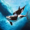 Orca Underwater paint by number