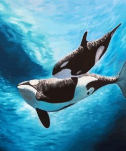 Orca Underwater paint by number