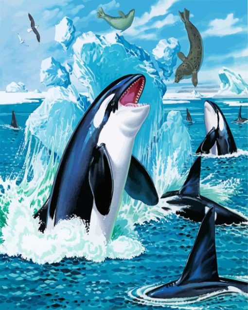 Orcas And Seals paint by number