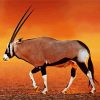 Oryx Animal paint by numbers