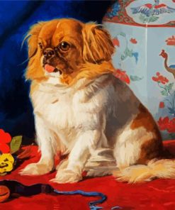 Pekingese Dog paint by number