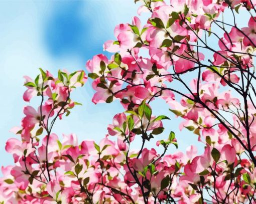 Pink Dogwood Tree paint by numbers