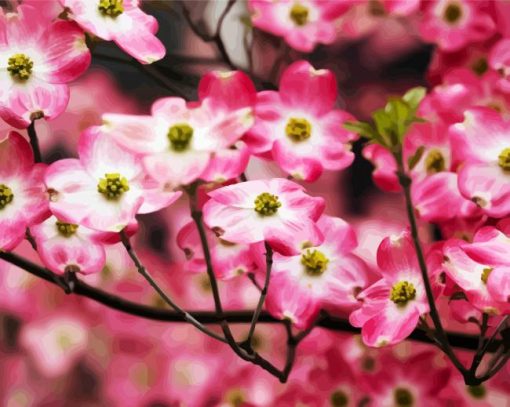 Pink Dogwood paint by numbers