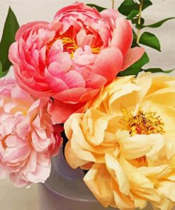 Pivoines Flowers paint by number