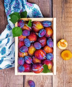 Plums Fruit paint by number
