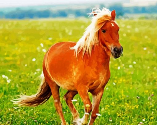 Pony In Field paint by number