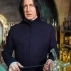 Professor Severus paint by number
