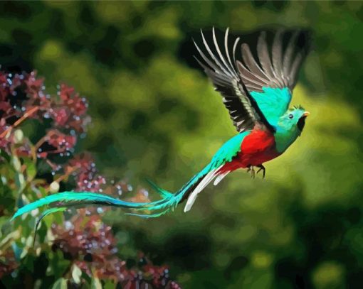 Quetzal Bird Flying paint by numbers